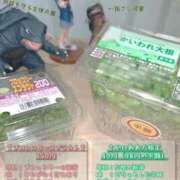 ヒメ日記 2026/05/15 18:30 投稿 工藤れいな おもてなし妻