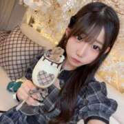 ヒメ日記 2025/09/11 23:52 投稿 くらげ E+アイドルスクール