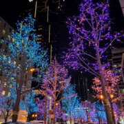 ヒメ日記 2025/09/23 00:52 投稿 りこ プロフィール天王寺