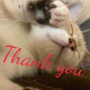 ヒメ日記 2026/01/10 14:16 投稿 新人やよい 素人ぶっかけ〇〇取手店