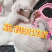 ヒメ日記 2026/01/26 16:38 投稿 やよい 素人ぶっかけ〇〇取手店