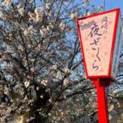 ヒメ日記 2026/04/03 12:04 投稿 Miyu 濃密バブルSPA VIP