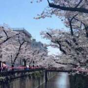 ヒメ日記 2026/04/06 12:14 投稿 Miyu 濃密バブルSPA VIP