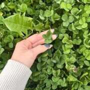 ヒメ日記 2025/12/09 08:44 投稿 りん ソープランド ラ・メイド neo