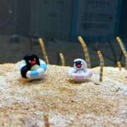 ヒメ日記 2026/02/25 16:24 投稿 りん ソープランド ラ・メイド neo