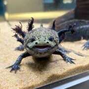 ヒメ日記 2026/02/27 14:54 投稿 りん ソープランド ラ・メイド neo