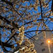 ヒメ日記 2026/04/24 22:14 投稿 りん ソープランド ラ・メイド neo