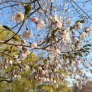 ヒメ日記 2026/04/26 09:34 投稿 りん ソープランド ラ・メイド neo