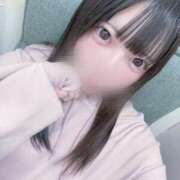 ヒメ日記 2025/11/17 13:53 投稿 こなつ 見学娘