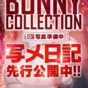 ヒメ日記 2025/09/30 17:50 投稿 モモ バニーコレクション新潟店