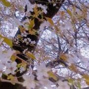 ヒメ日記 2026/04/06 18:10 投稿 けい TSUBAKI(つばき)土浦店