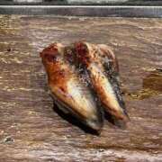 ヒメ日記 2025/09/16 14:02 投稿 ここあ りんくう泉佐野ちゃんこ