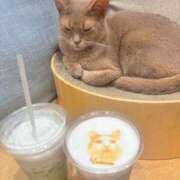 ヒメ日記 2025/10/20 21:23 投稿 のどか 激安ドットコム