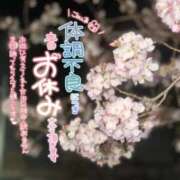 ヒメ日記 2026/03/25 08:23 投稿 あいこ もしも清楚な20、30代の妻とキスイキできたら横浜店