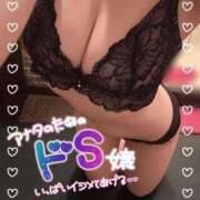 ヒメ日記 2026/07/29 15:03 投稿 あいこ もしも清楚な20、30代の妻とキスイキできたら横浜店
