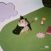 ヒメ日記 2025/10/22 19:50 投稿 ちはや 舐めフェチの会