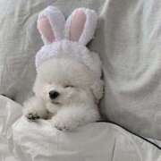 ヒメ日記 2025/11/04 00:11 投稿 ちはや 舐めフェチの会