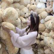 ヒメ日記 2025/11/12 12:45 投稿 まどか CECIL