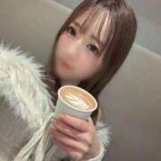 ヒメ日記 2026/01/29 19:15 投稿 まどか CECIL