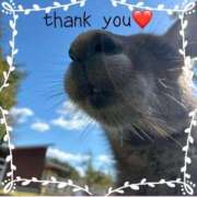 ヒメ日記 2025/12/09 23:14 投稿 あやね マダムバンク 富山本店