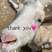 ヒメ日記 2025/12/10 22:14 投稿 あやね マダムバンク 富山本店