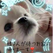 ヒメ日記 2025/12/12 10:14 投稿 あやね マダムバンク 富山本店