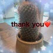 ヒメ日記 2026/04/06 22:14 投稿 あやね マダムバンク 富山本店