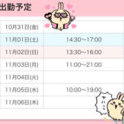 ヒメ日記 2025/10/31 19:33 投稿 のあ ミルキーラテ