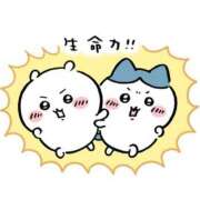 ヒメ日記 2025/12/20 13:26 投稿 のあ ミルキーラテ