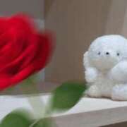 ヒメ日記 2026/01/28 15:05 投稿 のあ ミルキーラテ