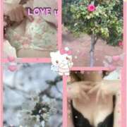 ヒメ日記 2026/03/28 08:12 投稿 みずき 木更津人妻花壇