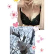 ヒメ日記 2026/04/06 19:14 投稿 みずき 木更津人妻花壇