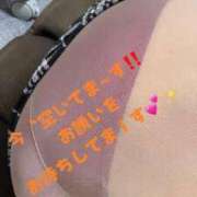 ヒメ日記 2025/09/27 01:09 投稿 もみじ 奥様プリモ