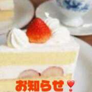 ヒメ日記 2025/10/05 23:09 投稿 もみじ 奥様プリモ