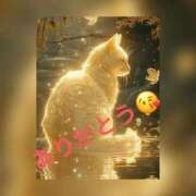 ヒメ日記 2025/11/10 04:19 投稿 もみじ 奥様プリモ