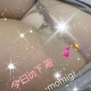 ヒメ日記 2025/11/13 19:29 投稿 もみじ 奥様プリモ