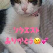 ヒメ日記 2025/11/15 15:31 投稿 もみじ 奥様プリモ