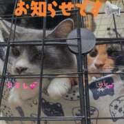 ヒメ日記 2025/11/15 22:11 投稿 もみじ 奥様プリモ