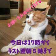 ヒメ日記 2025/11/20 15:29 投稿 もみじ 奥様プリモ