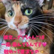 ヒメ日記 2025/11/20 20:58 投稿 もみじ 奥様プリモ