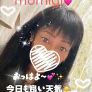 ヒメ日記 2025/11/22 08:59 投稿 もみじ 奥様プリモ