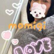 ヒメ日記 2025/11/22 09:19 投稿 もみじ 奥様プリモ