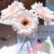 もみじ ありがとう🫶🏻💕 奥様プリモ