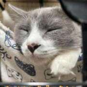 もみじ おはようございます☀️ 奥様プリモ