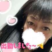 ヒメ日記 2025/12/07 14:59 投稿 もみじ 奥様プリモ