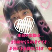 ヒメ日記 2025/12/26 11:39 投稿 もみじ 奥様プリモ