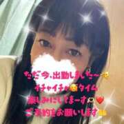 ヒメ日記 2025/12/26 18:33 投稿 もみじ 奥様プリモ