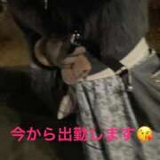 ヒメ日記 2025/12/28 18:29 投稿 もみじ 奥様プリモ