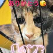 もみじ ありがとう♡♡♡ 奥様プリモ