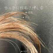 ヒメ日記 2025/10/08 16:53 投稿 あや ハンドキャンパス新宿